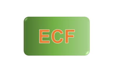Logo ECF.JPG